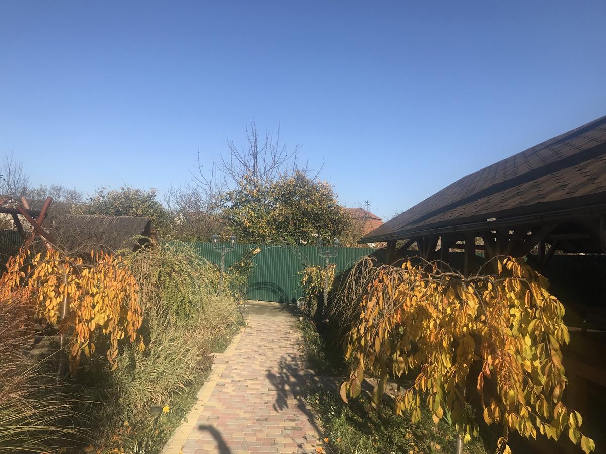 Міні Готель Вілла Вікторія Berehove  Exterior photo